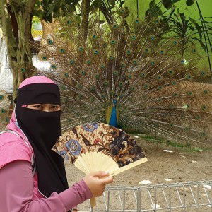 Amirah Sa'ad profile icon