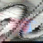 Jhaz Gilber profile icon