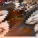 กรวิกา ถ้ำคู่ profile icon