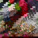 Nurulrizki profile icon