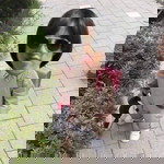 หมวกกันน็อก profile icon