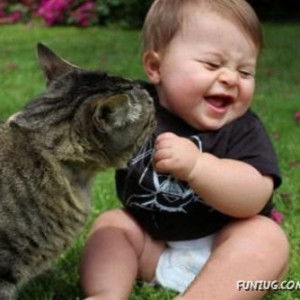 Cosa Nostra (Putra) profile icon