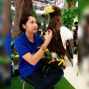 Rose Sarocha profile icon