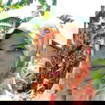 Su Yono Gandok profile icon