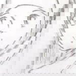 Dwi Lestari profile icon