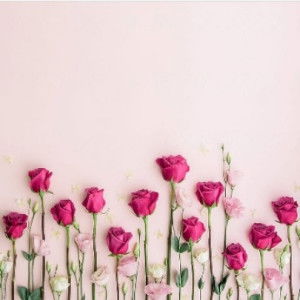 Novi Nurhayati profile icon