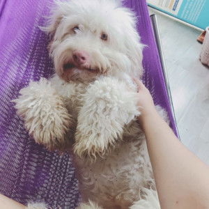 JinnyMommy profile icon