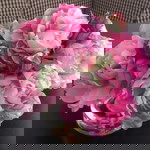 Nur Azwina Binti Mohd Azmi profile icon