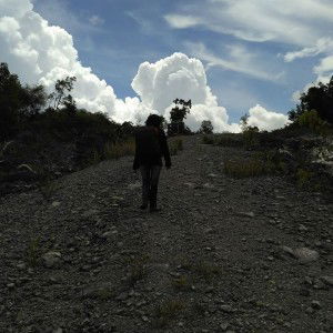 Wida Ningrum profile icon