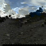 Wida Ningrum profile icon