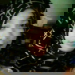 indri profile icon