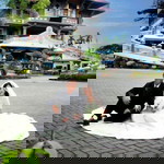 Irene Ginting profile icon