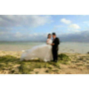 carovin profile icon