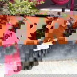 Dessy Sanjaya profile icon