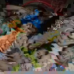 Dyen Nuevas Almazan profile icon