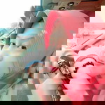 Dewi Indah profile icon