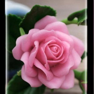 Sun Khaing profile icon