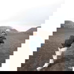 Laila Nuril Jannah profile icon