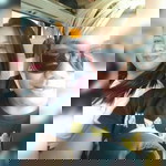 Rose Ann Sevilla Dequito profile icon