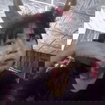 Naroemon Boonklin profile icon