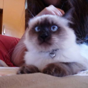 Madel Eligan profile icon