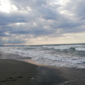 Anonymous profile icon