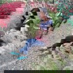 santika ika profile icon