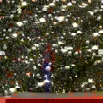 Popeye Martin profile icon