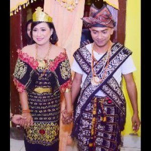 Meity Logo profile icon