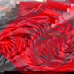 ainsha rienasyah profile icon