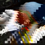 inshaALLAH profile icon