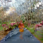 Nur Anis profile icon