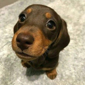 ลูกสาว คนโต profile icon