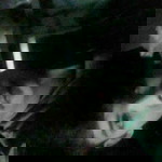 Sathit Din Labanoon profile icon