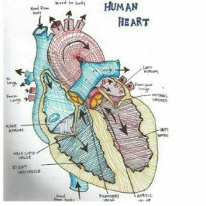 Hajratul Aswad Ute profile icon