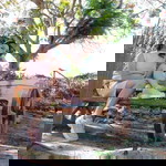 Eunarica Chelis profile icon