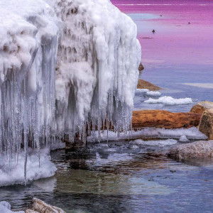 Michele Van Deventer profile icon