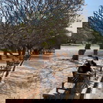 Tok Ruanthong profile icon