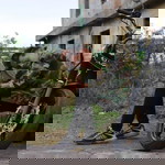 Sugihcaki profile icon