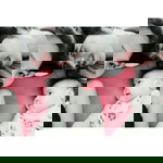 นานินานินา profile icon