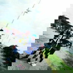 Rosel Palacio profile icon