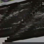 Shawn-Benedict Alcantara profile icon