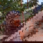 Ulya Nosa profile icon