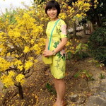 Ngoc Bich Vu profile icon