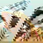 Intan Wijayanti profile icon