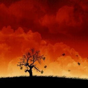 Latifah Astuti profile icon