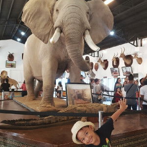 Shainels profile icon