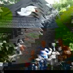 Fifi Tan profile icon