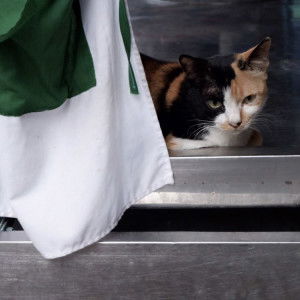 earnn◡̈⃝ profile icon