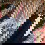 Ari Thandjunk profile icon